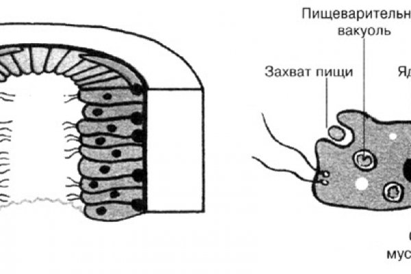 Kraken это гидра